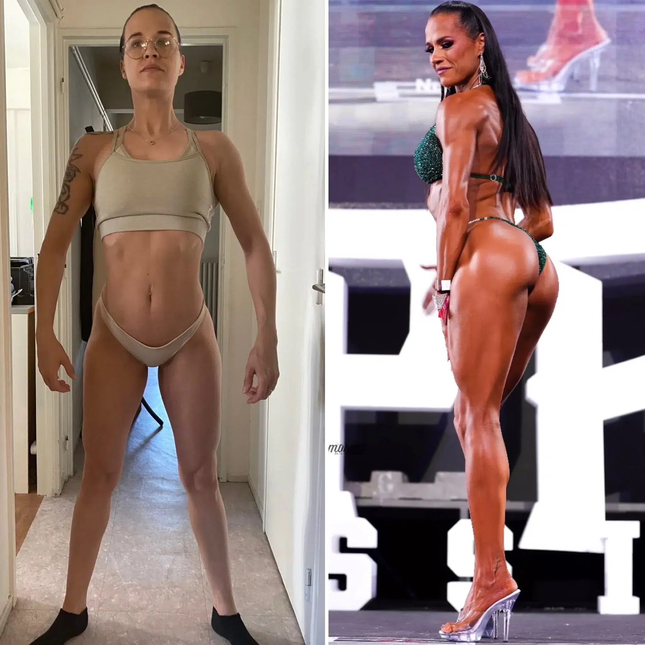 Compétitions NPC Bikini - Bionic Body, European, Olympia Amateur, Laura Ziv, Mr Big Pro, Sheru Classic, Ben Weider