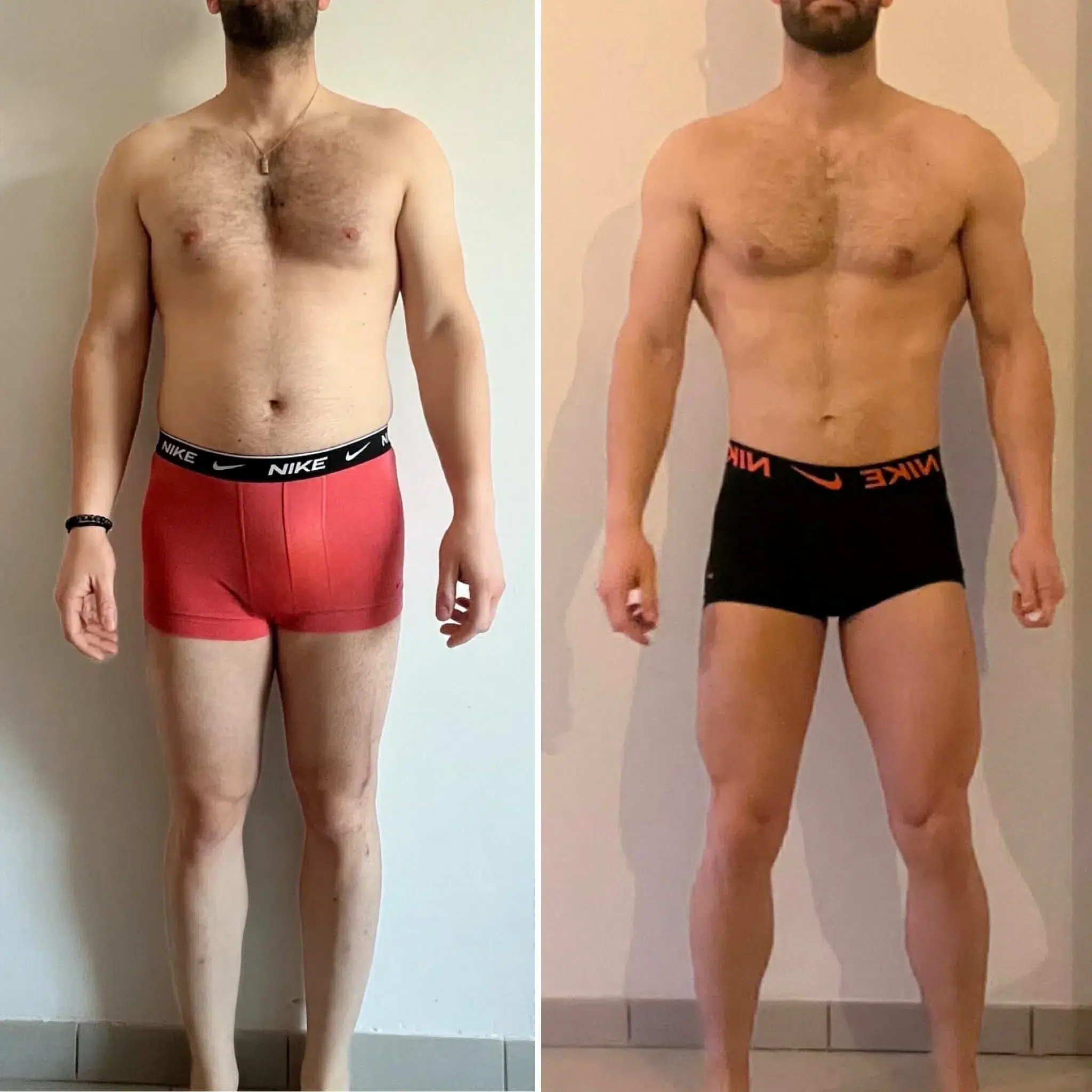 Prise de masse modérée + définition musculaire — 6 mois (sur 12 d'engagement)