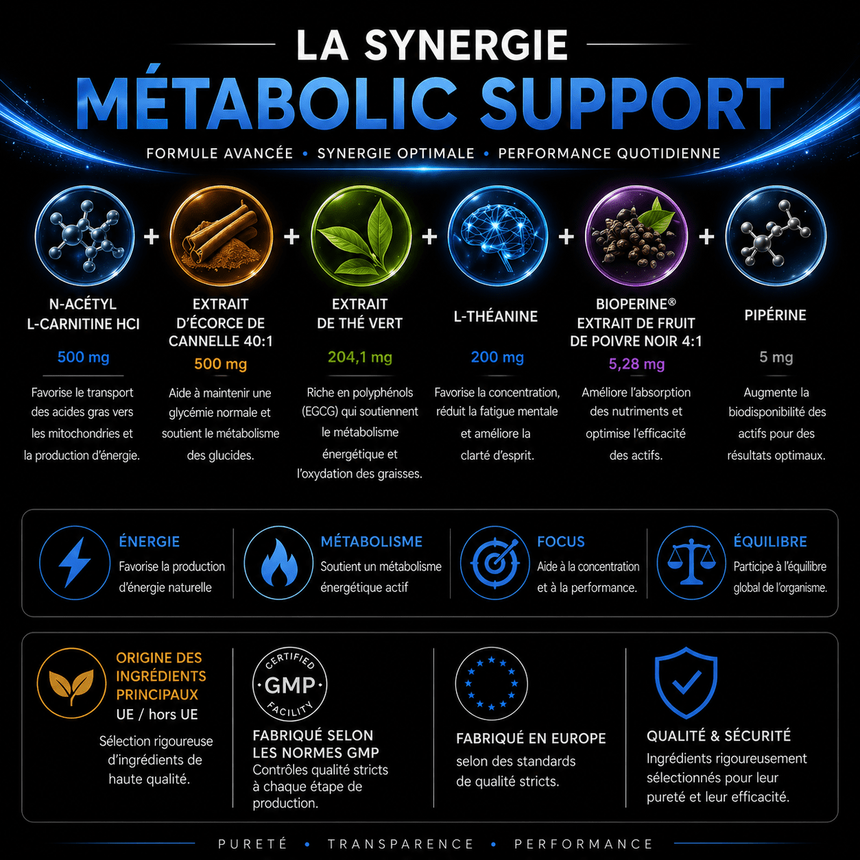 Synergie des ingrédients du Metabolic Support avec carnitine cannelle thé vert l théanine et bioperine